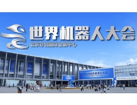 江蘇省2021世界機器人大會