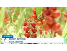 香港兩會關注數字農業，構建鄉村振興的數字藍海